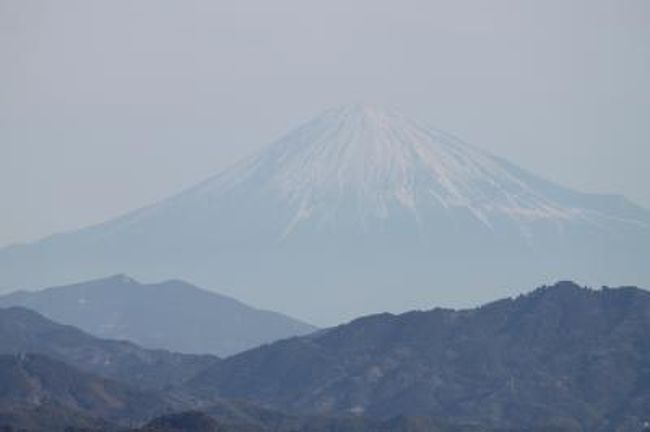 富士山が見たくて、東名を走り静岡へ。