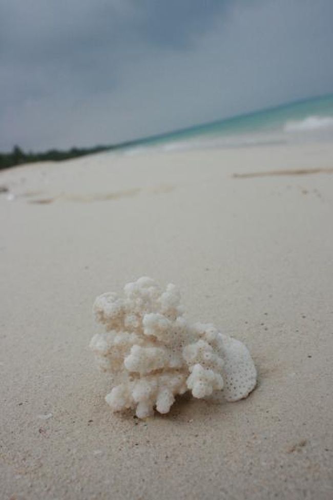 天国に一番近い島。ウベア<br />超繁忙期の年末年始。間際になっての手配は無理だろうと思っていたら　空港送迎を頼んだフィロツアーhttp://topics.philotours.com/から　ウベア行きに空席があるとの情報をもらいました！<br />そりゃ、行くしかないでしょう〜　天国に一番近いんだから<br /><br />ウベア行きディトリップ　ひとり36,500ＣＦＰ　ホテル送迎とランチ付き<br /><br />（１ＣＦＰ＝０．９５円　２０１０年12月）