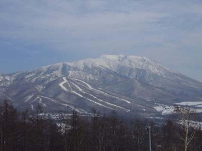 2011/2/4〜2/6は、春節休暇で帰国した夫とともに、久々に雫石へ。以前ゴンドラが止まって下のリフトしか動いていなかったことがあり、それに懲りてずーっとご無沙汰していた場所ですが、そこそこの滑走距離があり、新幹線で温泉&スキーを手軽に楽しめる場所ということで、久々に訪れました。プリンス系のスキー場はすっかり少なくなってしまったけど、ホテルがゲレンデ目の前にあり、ゴンドラで一挙に頂上まで行ける構成がけっこうお気に入りです。雫石はゴンドラが一基なくなっていたけど、ロープウェイともう一基のゴンドラは動いており、ナイターのみ下のリフトを動かすという効率的な運営になっていました。<br /> ホテルはさらにシンプルになり、過剰なサービスはないが快適に過ごせる工夫があちこちに見られました。たとえば、夕食レストランはバイキング会場の一画を仕切り、和食レストランと洋食レストランを兼ねています。正直雰囲気はいまいちですが、落ち着かないというわけでもなく、料理自体はおいしくいただけたので、効率的な運営だと思いました。また、温泉の洗い場も増えていたので、奥の洗い場では寒い思いをせずに体を流し、その後は雪見露天をたっぷり楽しめました。部屋のタオルを持ち出せるようにしており、最終日にも温泉に入れたので良かったです。<br /><br /><手配><br />JRスキーツアー(びゅう)で手配。<br />新幹線往復指定+ホテル2泊4食+リフト券3日分で、一人44,000円也。