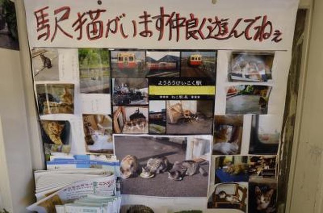 小湊鐵道の養老渓谷駅で飼われている駅猫 ー 養老渓谷 千葉県 の旅行記 ブログ By Medinaさん フォートラベル 小湊鐵道の養老渓谷駅で飼われている駅猫 ー 養老渓谷 千葉県 の旅行記 ブログ By Medinaさん フォートラベル