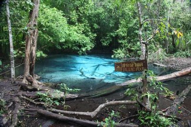 今日でクラビの観光も最後になります。温泉と青い池があるというので行く事にしました。