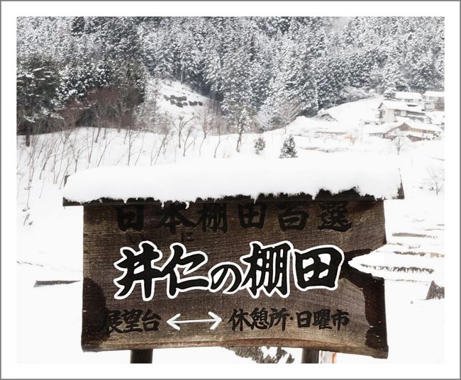 ■豪雪?の中国山地を走る<井仁の棚田雪景色>☆井仁の棚田/広島県山県郡安芸太田町中筒賀井仁 広島県安芸太田町筒賀の井仁の棚田は、1999年に「日本の棚田百選」の1つとして選定されました。 井仁は盆地状の地形で、西側斜面の標高450?500mくらいの範囲に棚田が広がっています。水田、畑を含め 合計12.7ヘクタールで水田は324枚有るそうです。 田乃尻川の上流に位置し、洪水や土砂浸食防止など環境保全の効果を担っています。この棚田の起源は中世末期に遡り、近世末期までに急傾斜の山腹を棚田に変えたと思われます。☆井仁の歴史 WEBサイトより 太田川上流域の「大田郷」は平安時代末期から鎌倉時代(西暦1100年頃~1300年代)にかけて開墾が進められ、厳島神社社領に組み入れられ、領主制の中で農業生産の向上と農民の自立・土地所有が進んだとされる。 室町時代前期(1400年頃)に初期的な村落の形成が行われたとみられている。 一般に石垣技術は山城の築城から発達したと言われ、棚田は山を開墾して出た石を積み重ねて築かれた。 井仁で最も古いとみられる石垣は戦国時代(約500年前、室町後期)のものと推測される。 寛永15年(1638)の「地詰帳」には、耕地が現在とほぼ同じ広さがあったという記録がある。 秀吉の朝鮮出兵(「文禄・慶長の役」1592~1598)のとき、安芸国の山間部に本拠を持つ吉川氏も出兵を命じられ、山県郡内や太田地方からも、築城要員として多くの人夫が動員された。 この人たちが故郷に帰って、石割りや石積みの技術を広め、棚田の石垣の多くが築かれたといわれている。【 手記 】 休日ゼロの毎日。実は、この日は今年初めての1日フル休みだったのです。雪景色でも見てリフレッシュしたくて・・・吉和・戸河内方面へ出かけていきました。 先週、豪雪の八幡高原を訪れたときは益田からの帰路、夕方だったこともあり雪景色を堪能できず満足なものではありませんでした。 雪山ドライブ、雪景色を堪能したあと、夜はおなかまの人と‘祝!Godzillaくんお休み記念日’という言い訳で飲み会がありました。