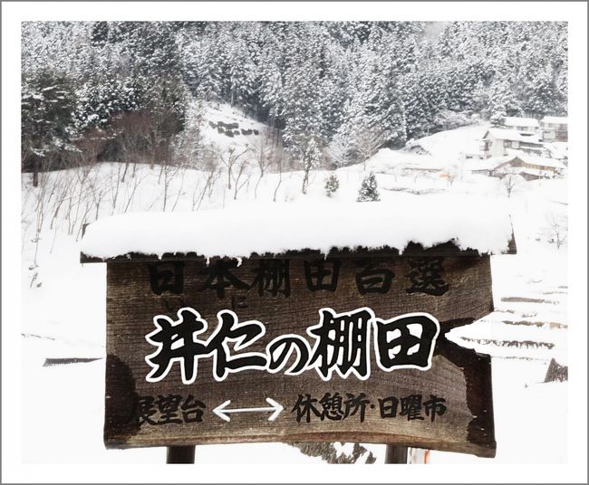 ■豪雪？の中国山地を走る＜井仁の棚田雪景色＞<br /><br />☆井仁の棚田／広島県山県郡安芸太田町中筒賀井仁<br />　広島県安芸太田町筒賀の井仁の棚田は、１９９９年に「日本の棚田百選」の１つとして選定されました。<br />　井仁は盆地状の地形で、西側斜面の標高450?500ｍくらいの範囲に棚田が広がっています。水田、畑を含め　合計12.7ヘクタールで水田は324枚有るそうです。<br />　田乃尻川の上流に位置し、洪水や土砂浸食防止など環境保全の効果を担っています。この棚田の起源は中世末期に遡り、近世末期までに急傾斜の山腹を棚田に変えたと思われます。<br /><br />☆井仁の歴史　WEBｻｲﾄより<br />　太田川上流域の｢大田郷」は平安時代末期から鎌倉時代（西暦1100年頃～1300年代）にかけて開墾が進められ、厳島神社社領に組み入れられ、領主制の中で農業生産の向上と農民の自立･土地所有が進んだとされる。<br />　室町時代前期（1400年頃）に初期的な村落の形成が行われたとみられている。<br />　一般に石垣技術は山城の築城から発達したと言われ、棚田は山を開墾して出た石を積み重ねて築かれた。<br />　井仁で最も古いとみられる石垣は戦国時代(約500年前、室町後期)のものと推測される。<br />　寛永15年（1638）の「地詰帳」には、耕地が現在とほぼ同じ広さがあったという記録がある。<br />　秀吉の朝鮮出兵（「文禄・慶長の役」1592～1598）のとき、安芸国の山間部に本拠を持つ吉川氏も出兵を命じられ、山県郡内や太田地方からも、築城要員として多くの人夫が動員された。<br />　この人たちが故郷に帰って、石割りや石積みの技術を広め、棚田の石垣の多くが築かれたといわれている。<br /><br />【　手記　】<br />　休日ゼロの毎日。実は、この日は今年初めての１日フル休みだったのです。雪景色でも見てリフレッシュしたくて･･･吉和･戸河内方面へ出かけていきました。<br />　先週、豪雪の八幡高原を訪れたときは益田からの帰路、夕方だったこともあり雪景色を堪能できず満足なものではありませんでした。<br />　雪山ドライブ、雪景色を堪能したあと、夜はおなかまの人と‘祝！Godzillaくんお休み記念日’という言い訳で飲み会がありました。<br />