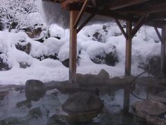 雪に食に温泉に満喫旅行@新潟