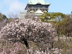 梅薫る大阪城公園梅林