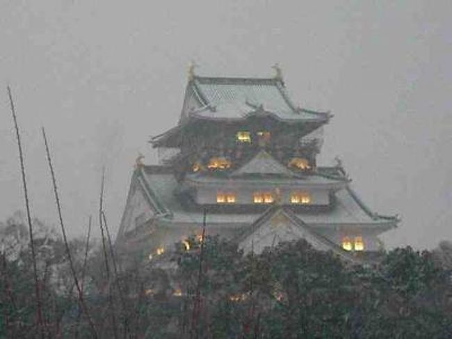 雪化粧の大阪城へ行って参りました。　丁度、梅のシーズンということで、梅林で通常は賑わっているのですが、雪で、写真家の方以外は人少なく、いつもの人気スポットも写真撮影の順番待つ事なく撮影する事ができました。