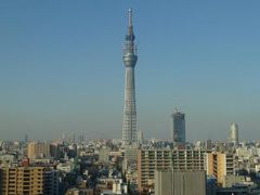 2011年はtokyobookmarkで御のぼりさん旅行