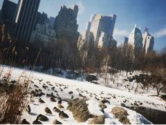 真冬のニューヨークの休日　　Holidays in New York/1994 winter