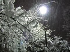 雪降る夜の公園のモノクロームな世界