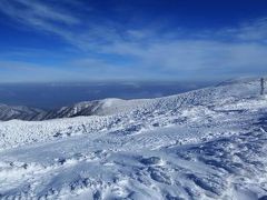 スノーモンスターに遭遇！　山形蔵王の樹氷にライトアップ　　（Snow　monster encounter & Lighting up)/　山形蔵王温泉 (Yamagata pref.)