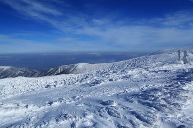 スノーモンスターに遭遇 山形蔵王の樹氷にライトアップ Snow Monster Encounter Lighting Up 山形蔵王温泉 Yamagata Pref 蔵王温泉 山形県 の旅行記 ブログ By Kuropisoさん フォートラベル