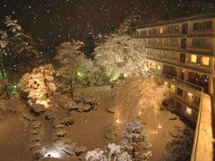 残酷な天気のテーゼ 後編　　/ 雪、逃げ出した後　（箱根1日目　②）