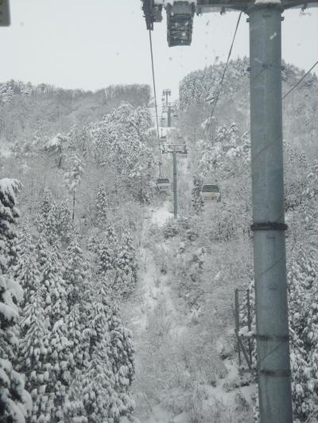 今年の近畿地方のスキー場は積雪が多く、コンディションもベストな状態をキープです(^_^)v<br />北海道ツアーから帰り、またしても今シーズン２回目のオジロへ行ってきました。<br />相変わらず空いていたスキー場ですが、根強いオジロファンが思いおもいのシュプールを描いていました(^_-)-☆