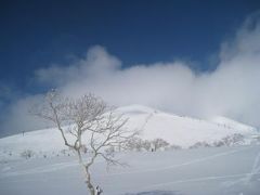 ニセコパウダーは最高でした