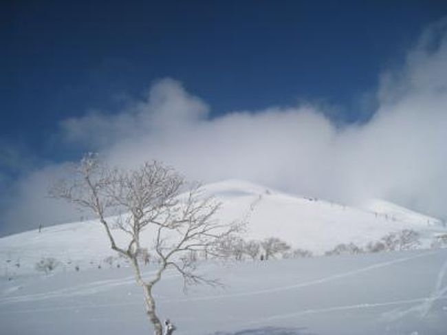 今年も北海道のニセコへ〜<br />グラン・ヒラフ　アルペンコースのスタート地点に建つ、ホテルニセコアルペンに宿泊し、目いっぱいスキーを楽しんできました。<br /><br />天候は３日目が一番安定し、青空とニセコアンヌプリがとても美しい姿を見ることができました。<br /><br />羊蹄山も時々顔を出し、真正面に見ながら滑り降りる快感は最高の気分でした。<br />