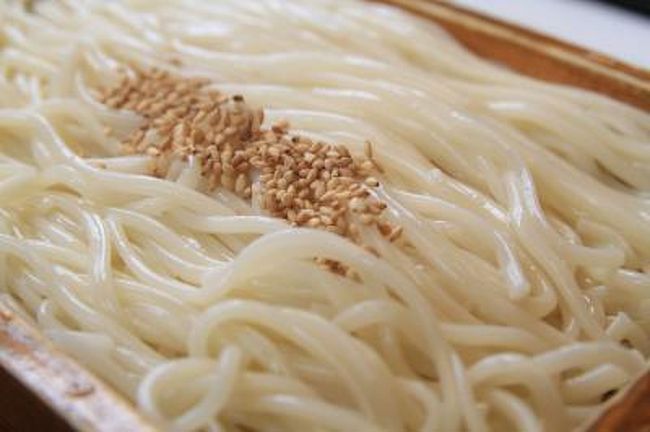 長崎旅行 五島うどんを食べる 和食処 花の家 ハウステンボス周辺 長崎県 の旅行記 ブログ By みにくまさん フォートラベル