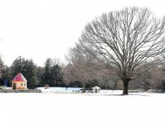 Japan　わ～い雪だヽ(^o^)丿　昭和記念公園　February  2011　 ～ミツバチばあやの冒険～