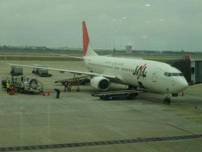 臺灣で春節(旧正月)期間をメインに過ごしたのち、日本に一時、帰国します。<br /><br />今回、マイレージ消化で搭乗させて頂きましたが・・・、搭乗した機材が73H(B737-800)機材で2-2席×3列ビジネス席、3-3席のエコノミー席の中小型？機でした。しかも、搭乗率が半分くらいで後方は、かなり空席が目立ちました。日本のナショナルフラッグが何故だ〜〜〜。悲しい。<br /><br />私見ですが、価格破壊しかないな・・・？JLさんどうでしょう・・・？