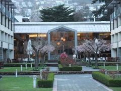 ニュージーランド周遊６