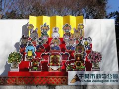 千葉市ぐるり旅【6】～レッサーパンダの風太ブームから5年～千葉市動物公園