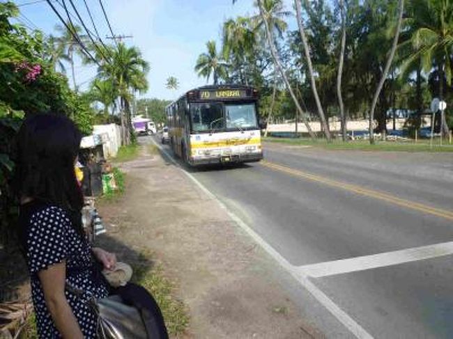 今回はＡＮＡ特典航空券を利用、現地ではＴＨＥ　ＢＵＳの旅。　<br /><br />手元にＡＮＡマイルが100000マイルが貯まった！！<br />Ｙクラスなら　２人で 80000マイルでハワイに行ける。<br />インフルエンザなら予防接種済やけど、今年もムズムズ・・<br />やっぱ『ハワイ行きたい病』に罹ってもたわ〜<br />特効薬は行くしかないやろっ♪<br /><br />せっかくだから、羽田空港国際ターミナルを初体験！<br />行きは羽田発、帰りは成田着の行程を選択。<br />航空運賃以外の諸費用１名あたり　＠18970×2　 計37940円<br /><br />ホテルはＨＩＳ　得ＢＵＹで手配。<br />＊ハワイプリンス３泊　＠11000×3　33000円<br />　ＬｅａＬｅａトロリー　１週間乗り放題パスつき<br />＊ビーチコマー　２泊　＠13000×2　26000円　　計59000円<br />　オーシャンビュー指定