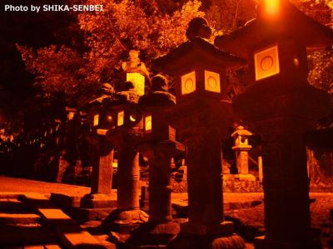 奈良まほろばの闇夜に なら瑠璃絵と春日大社万燈籠 奈良市 奈良県 の旅行記 ブログ By 鹿せんべいさん フォートラベル