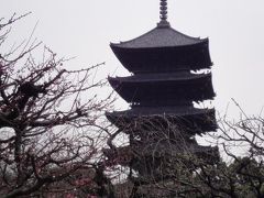 仏像いっぱい！！　東寺