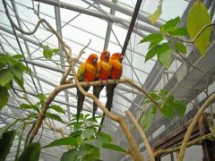 鳥天国★掛川花鳥園☆