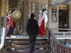 枚岡神社で長男の厄払い（前厄）　梅林散策　そしてランチデート♪