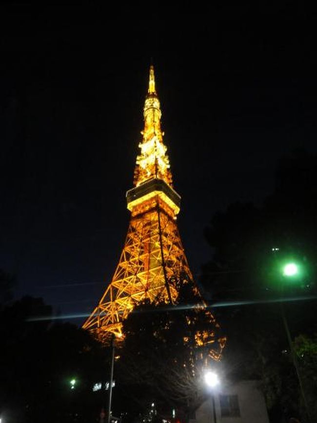 お台場から日の出桟橋までのミニクルージングです。<br />さすがに東京の夜景は素晴らしかったです。<br />スカイツリーに負けずときれいにイルミネーションした東京タワーがやはり素敵でした。<br />がんばれ東京タワー！！