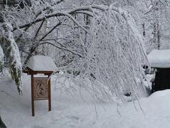 雪景色のひらゆの森