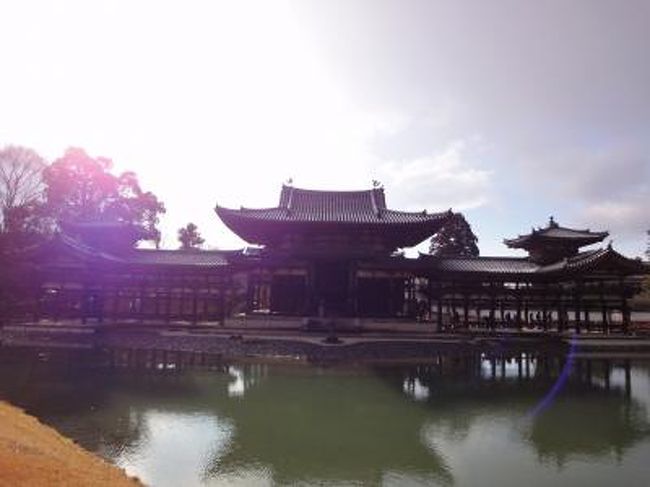 京都最後の観光地は　平等院鳳凰堂です。<br />極楽浄土の平等院で旅の終わりを締めくくります。