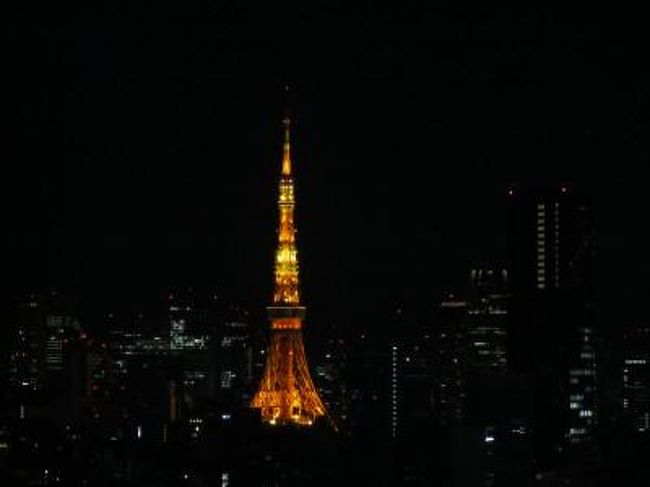 2月1日 2月3日 八重山 1 品川プリンスホテルに前泊 品川 東京 の旅行記 ブログ By まささん フォートラベル 2月1日 2月3日 八重山 1 品川プリンスホテルに前泊 品川 東京 の旅行記 ブログ By まささん フォートラベル