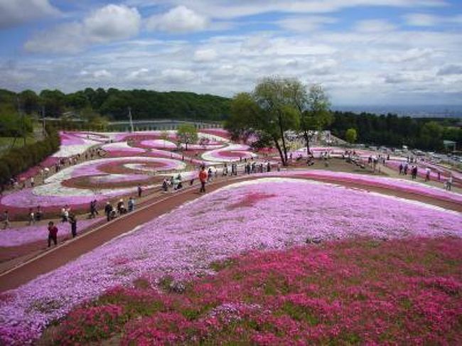 5/3　みさと芝桜公園　草津白根山　志賀高原丸池温泉宿泊<br />5/4　上高地　<br />