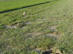 2011年　フランス＆イギリスをゆく　女子１人旅　～モンサンミッシェル編～