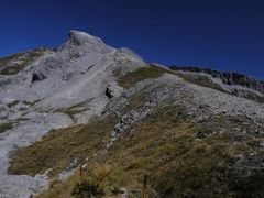 ニュージーランド南島　Ｍｔ．アーサー　登頂