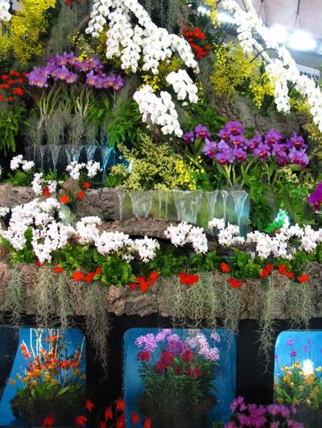 世界らん展日本大賞とは<br />洋蘭、東洋蘭、日本の蘭など世界各地のさまざまなジャンルのランを一堂に集めた “世界を代表する蘭の祭典” 「世界らん展日本大賞2011」（Japan Grand Prix・蘭・International Orchid Festival　2011）。今回は開催21回を迎え、ランを身近な存在に感じ、暮らしの中にランがあることの素晴らしさを発信します。<br /><br />審査作品展示は6部門で構成、個別審査部門には世界水準の作品が多数出展世界らん展日本大賞の審査部門では、参加作品を６部門に分けて展示します。<br />会場中央部分に日本大賞花及び上位入賞花を展示し、その周囲に、日本大賞を選出するための審査対象となる「個別審査部門」展示と上位入賞花の紹介コーナー展示を行います。さらに、「フレグランス審査部門」展示、「フラワーデザイン審査部門」展示、「美術工芸審査部門」展示、「寄せ植え審査部門」展示作品を配し、その周囲に「ディスプレイ審査部門」の展示を行います。<br /><br />「ディスプレイ審査部門」では、蘭を使った飾り付けの作品が展示されます。 (下記より引用)<br /><br />【世界らん展 日本大賞 開催概要】<br />会期：2011年2月19日（土）〜27日（日）　<br />会場：東京ドーム（東京都文京区後楽）<br /><br />世界らん展日本大賞については・・<br />　http://www.jgpweb.com/index.php　<br /><br />前回の世界らん展日本大賞の旅行記は・・<br />http://4travel.jp/traveler/maki322/album/10451173/<br />http://4travel.jp/traveler/maki322/album/10451175/　など<br /><br />