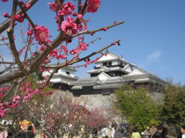 久々に妻と連休で休みが合い、折角だから温泉でもと計画していた所、某国営放送で放映されていた「坂の上の雲」にハマっていた為妻の希望で、舞台となった松山に行き先が決定!<br />本当は四国に行くんだったら、阪神タイガースがキャンプを行っている高知県が良かったんだけど、費用の都合等々で断念・・<br />松山と言えば日本の三名湯に数えられている道後温泉もあることですし、早春の伊予路を満喫して参りました。