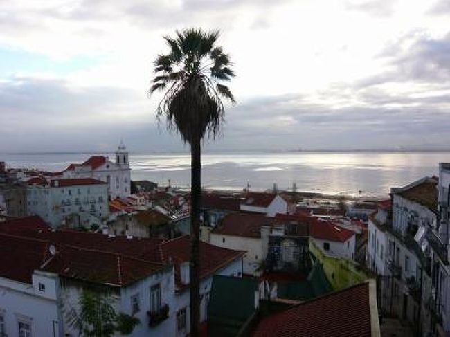新年のリスボン。ここ数年年越しはヨーロッパですが、毎年カウントダウンの瞬間はホテルのべッドの中(笑)リスボンの年越しは静かでした！ちょこっとクラクションが鳴ったくらいでした。<br /><br />元旦の朝はリスボンの下町、アルファマ地区へ。ここはリスボンの中では治安の悪いエリアらしいんですが、元旦の朝から悪い人は活動してないだろう！という考えからこの日のこの時間帯を選びました。