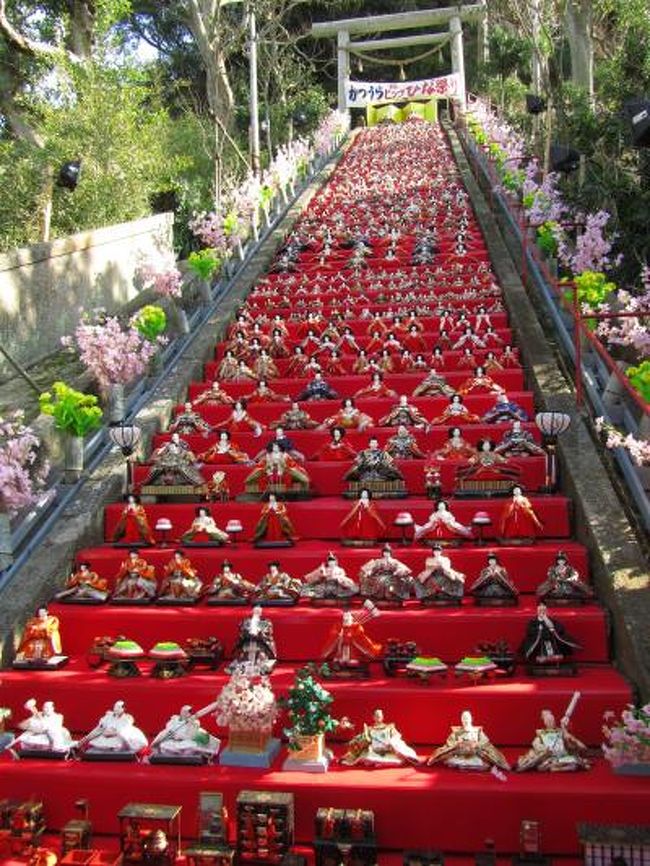 ビッグひな祭りに浸りに埼玉からはるばる勝浦へ 3 ビッグフォーの雛壇 遠見岬神社の1 0段や覚翁寺山門前ほか 勝浦 千葉県 の旅行記 ブログ By まみさん フォートラベル ビッグひな祭りに浸りに埼玉からはるばる勝浦へ 3 ビッグフォーの雛壇 遠見岬神社の1 0段や覚翁寺山門前ほか 勝浦 千葉県 の旅行記 ブログ By まみさん フォートラベル