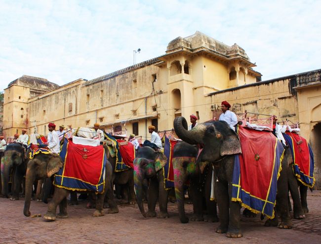 インド旅行２日目。<br />デリーでの短い観光を終え、次の目的地ジャイプールへ。<br />ジャイプールはデリーやアグラなどと比べあまり知名度は高くないですが、アンベール城やシティパレスなどヒンドゥーの戦士集団ラージプート族の王（マハラジャ）がつくった豪華な建物あり、象のタクシーといったアクティビティありで、想像以上に楽しく過ごせた街でした。<br /><br />＜旅程表＞<br />　２０１１年<br />　２月　９日（水）　成田→香港→デリー<br />○２月１０日（木）　デリー→ジャイプール<br />○２月１１日（金）　ジャイプール→アグラ<br />　２月１２日（土）　アグラ→デリー→<br />　２月１３日（日）　→香港→成田