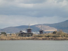 奈良の薬師寺の国宝東塔は特別公開中