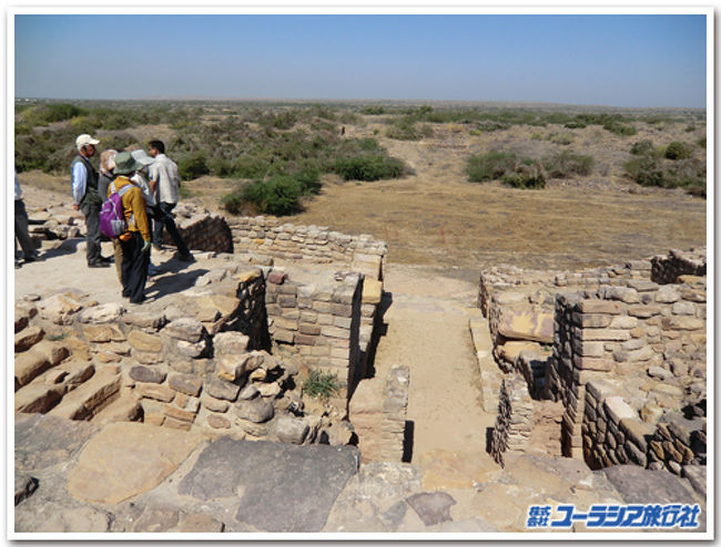   先日、西インドにあるインダス文明の遺跡ドーラビーラーへ訪れるツアーへ行ってまいりました。<br /><br />歴史の教科書の一番最初に出てくる、いわゆる４大文明の一つのインダス文明。直ぐに思い浮かぶ遺跡の名前は「モヘンジョ・ダロ」や「ハラッパー」ですが、インダス文明は大変広い領域に多くの都市が点在していたようです。<br /><br />現在、西インドはグジャラート州に残るインダス文明の都市遺跡はまさにそんな都市の一つだったようです。<br />遺跡に一番近い街、ブジからバスで約５時間(もちろん休憩も入れて)。<br /><br />眼前に真っ白な平原が広がりました。<br />雲ひとつない青い空の下でキラキラ輝いています。このあたりは湿地帯で、７月くらいになると雨などの影響でまるで海のようになるそうです。今は乾いているため、塩の平原が続いていますが、少し掘ってみるともう水が見えました。<br /><br />今から約４０００年前～３０００年前、このあたりは浅瀬の海だったのだとか。<br />私達がこれから向かうドーラビーラーはそんな浅瀬の海に囲まれた、島にある都市だったのかもしれません。<br /><br />塩の平原を抜けてようやっと遺跡へ到着。<br />いよいよ謎のインダス文明の遺跡が私達の前に姿を現します。<br /><br /><br />眼前にまず大きなくぼみと石段が見えてきます。<br />城門の前の大きな貯水池のあとです。<br /><br />まるで島のように、周りを浅瀬の海で囲まれていたと想像されるドーラビーラーでは塩分のない水の確保はとても大事なことだったのでしょう。<br /><br />  城門をはいって真っ先に見たのはやはり水利システムです。<br />城内に引き込んだ水が腐らないように、風を通して、人が掃除できるようになっていたそうです。<br /><br />いま表に出ているのは紀元前１５００年位前の遺構だそうです。石組みがいくつも続くのは恐らく住居跡でしょう、との事。<br />ぽつんと石臼がおいてあり、この地方の村人が今も使っているものとよく似ていて、ドーラビーラー遺跡で過去に生活していた人々の姿がなんとなく思い浮かびました。<br /><br />日陰もなく、訪れる人も殆どない、少々忘れられた感のある遺跡ですが、インダス文明を解明する重要な手がかりの発見されたところとあって、案内の係りの人は少々誇らしげ。<br /><br />「インド人のいまの生活に根付く、牛を聖なる動物として崇めることなどは、まさにこのインダス文明から続いているのだ、ほら、看板の下のマークを良く見て。この牛のマークの印章は、まさにこの遺跡から見つかったものなんだ。恐らく何かしらの契約などに使用したと思われるけど、大切な約束事に使用したんだから、牛はやっぱり聖なる動物だったんだよ。<br /> それに、ここからはインダス文字が１０文字も書かれた看板が北門からも見つかっているし、インダス文明の謎を解く鍵が沢山埋まっているのだ」<br /><br />と、教えてくれました。<br /><br />はるか昔のドーラビーラーの人々の生活が少し垣間見えるような、そんな気がしました。<br />いまはインドの西の端っこ、パキスタンとの国境にある遺跡ですが、古代文明の謎が一杯詰まった宝箱のようなところです。<br /><br />次来るときにはどんな新しい発見が、私たちに古代の生活の一端を伝えてくれるのでしょう。<br />