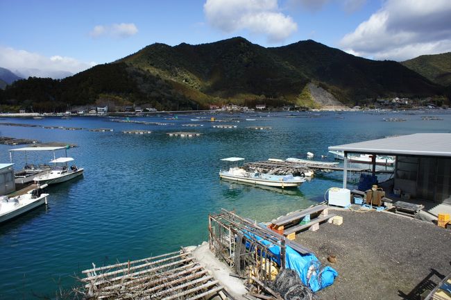 熊野古道馬越峠に近い紀北町海山の白石湖で養殖される「渡利牡蠣」<br /><br />わずか１６件のみが生産しているため、幻の牡蠣といわれています。<br /><br />大台山系から湧き出る清流と熊野灘の海水が混じった汽水湖で育った牡蠣は栄養豊富で癖が無いとの話。<br /><br />牡蠣のシーズンが終わってしまう前に、食べてみたい、と熊野方面へとドライブに行きました。