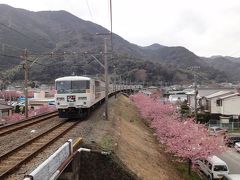 金谷旅館と桜祭り