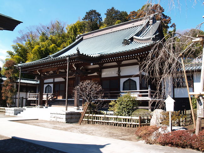 　横浜市戸塚区汲沢にある寶壽院は真言宗大覚寺派のお寺で汲沢山寶壽院願行寺という。開山は願行上人との伝承があるが、宝亀3年（772年）説ではなく、願行上人がいたのは鎌倉末の頃である。しかし、天正年間（1573年〜1592年）に青蓮寺の末寺になったとする説もある。「土地の旧家・森家の建立であるが同家は森蘭丸の末裔とされている」ともある。本能寺の変は、天正10年（1582年）のことであるから、天正20年（1592年）頃までに伽藍が整備されて寶壽坊から寶壽院に変わったのであろう。門前の「森金八碑」にある森金八はこの一族であろうか。また、秘仏御本尊不動明王を宝永7年（1710年）以来に開帳したとある。過去帳も宝永以降しか残っていない。また、寺の住職は代々独身であり、五霊社の祭祀も兼ねていた。<br />　境内に「客殿本堂庫裡落成記念碑」（平成6年（1994年）銘）があるから、伽藍は平成になってから建替えられたようだ。石像も新しく最近のものだ。<br />　日露戦争の頃（明治37年（1904年））に植えられた樹齢100年ほどの枝垂れ桜があり、他に銀杏3本と山桜1本の名木・古木がある。裏山の墓地にも河津桜と枝垂れ桜、山桜が植えられているが、墓地に桜が植えられているところは全国でもまだそれ程多い訳ではない。鎌倉界隈ではここと片瀬本蓮寺などくらいか。<br />　山門脇の一番手前の庚申塔は文政2年(1819年)のものとあるがどれか分からなかった。<br />（表紙写真は寶壽院本堂）