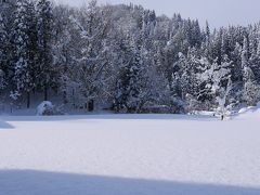 ぶらり雪景色／48(よんぱち)豪雪を超えた!?