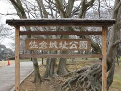 成田/佐倉ぐるり旅【1】～日本100名城に選ばれた埋もれた古城～佐倉城址公園（梅）