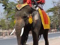 ０３．３連休を利用した２泊５日バンコク旅行　ワット・プラ・マハータート　象乗り体験