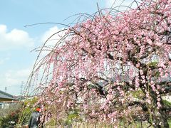 北九州弁で綴る、小倉日記リターンズ☆デジイチ講座＠総合農事センター